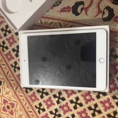 ipad mini 5