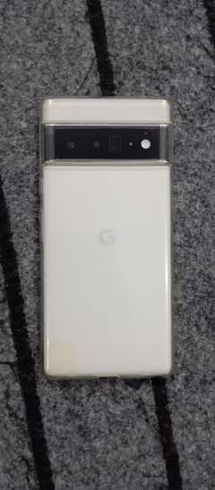 need google pixel 6 pro display