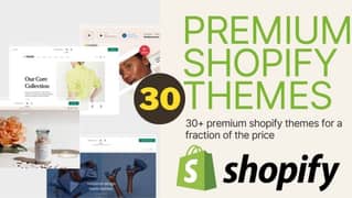 Shopify Themes