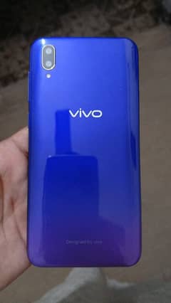 vivo