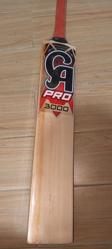 CRICKET BAT 1