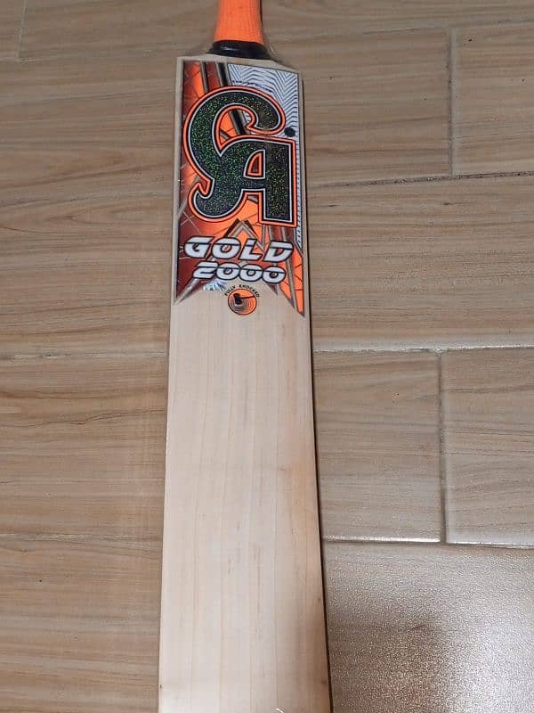 CRICKET BAT 3