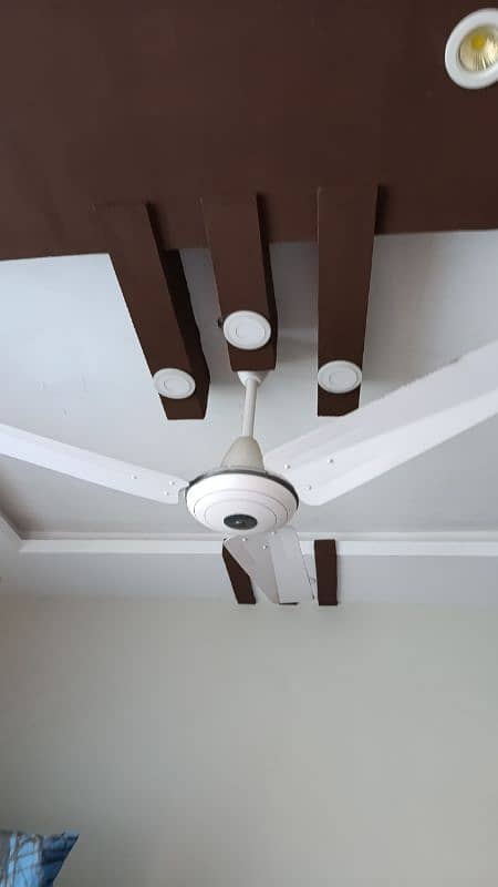 Fan for sale 0