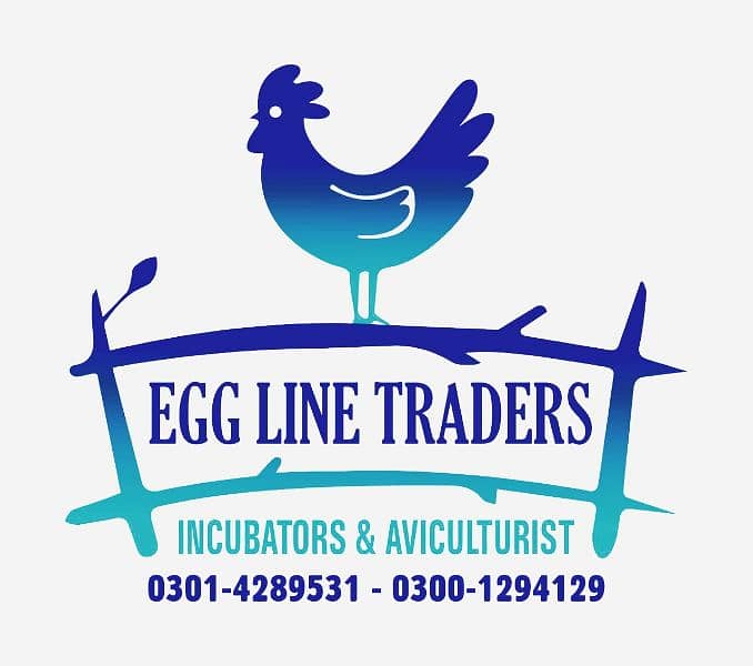 egg incubators fully automatic 7