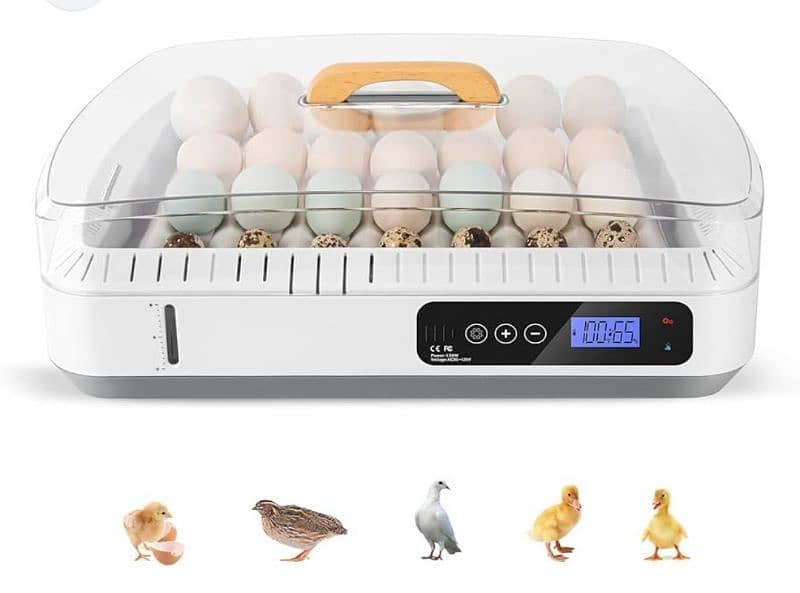 egg incubators fully automatic 18