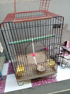 birds cage