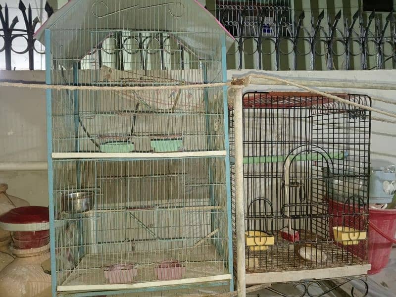 birds cage 1