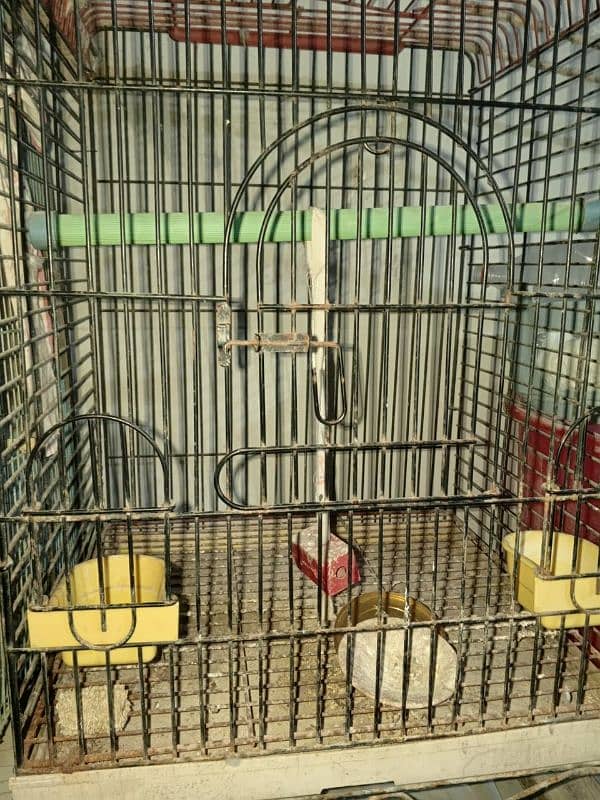 birds cage 2