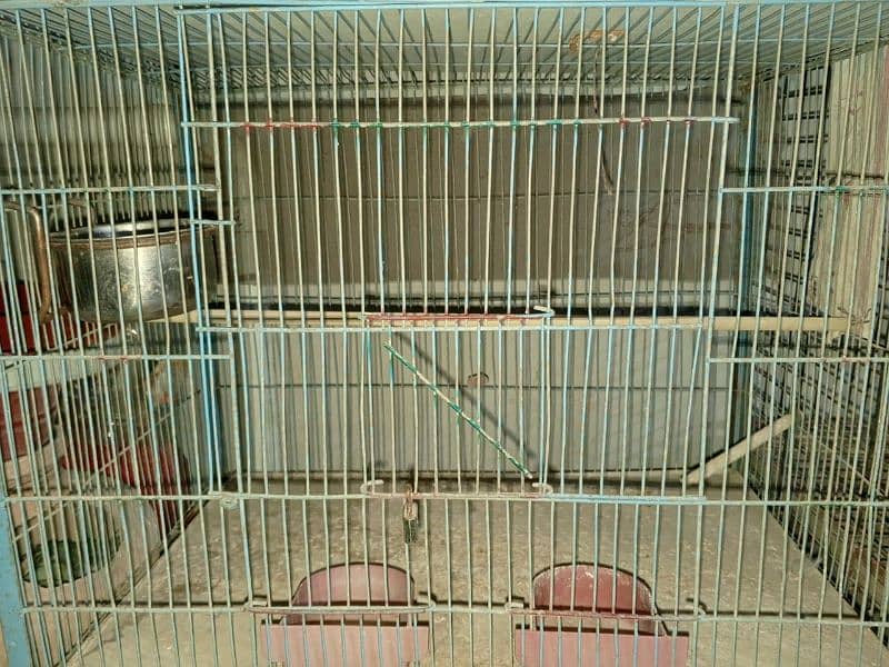 birds cage 5