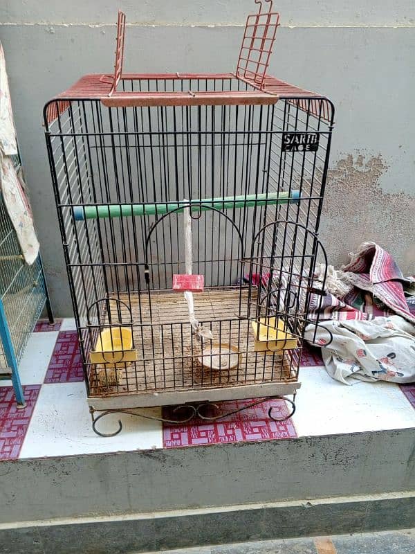 birds cage 7