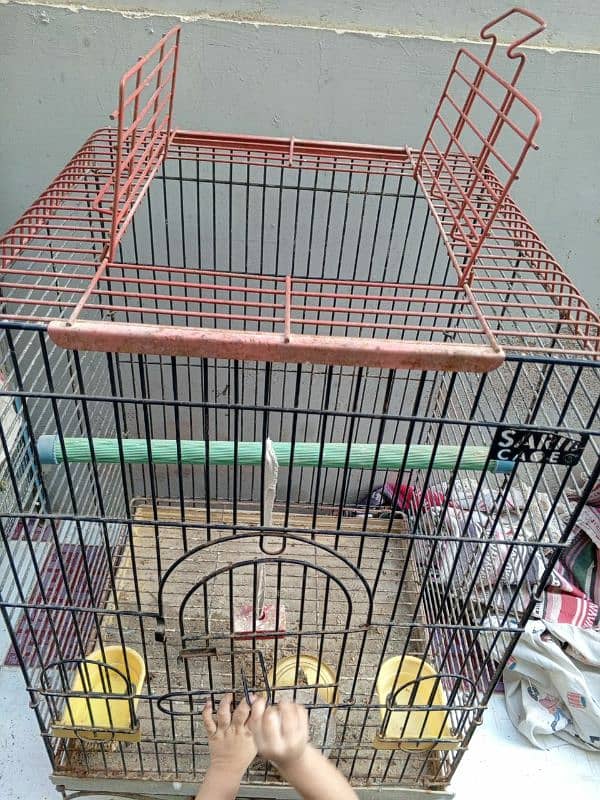 birds cage 9