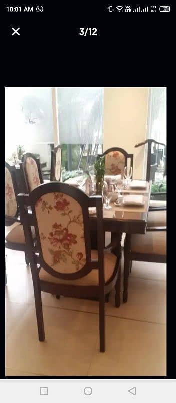 Bulk Stock's Chairs For Banquet Marquee Restaurant Cafe Hotel Fine Din 10