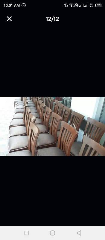 Bulk Stock's Chairs For Banquet Marquee Restaurant Cafe Hotel Fine Din 19