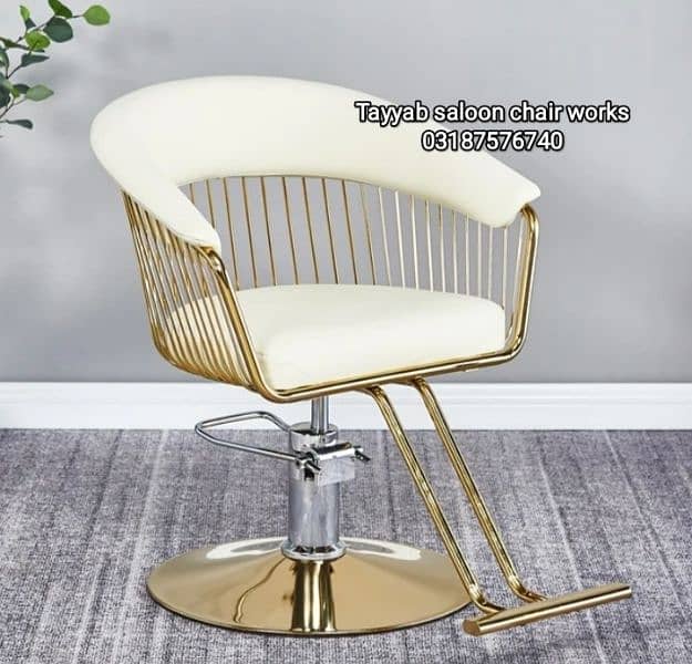 Saloon Chair/Parlour Chair/Shampoo Unit/Pedicure/Manicure/Salon Chair 9