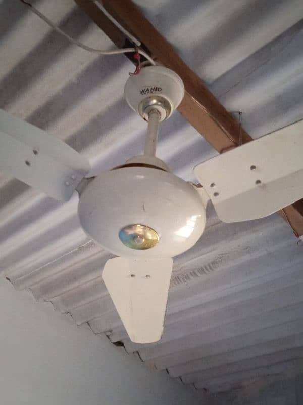 AC DC 56" WAHID CELLING FAN 0