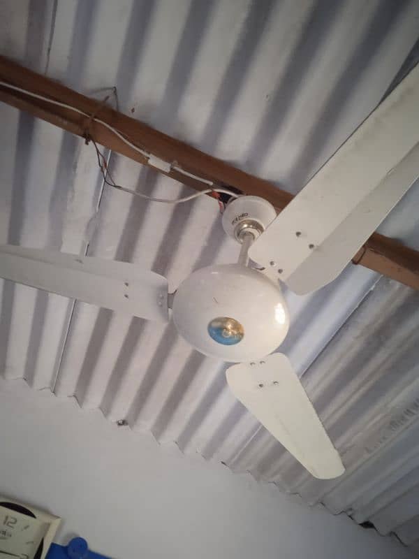 AC DC 56" WAHID CELLING FAN 2