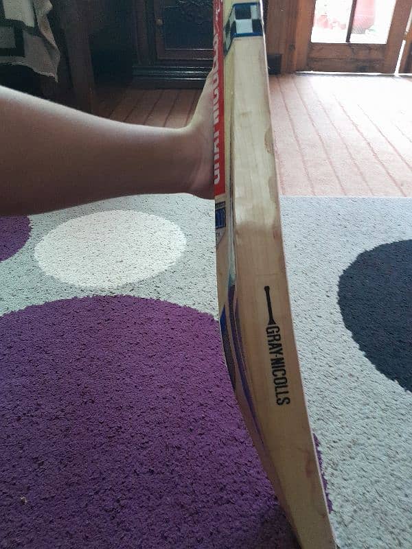 Gray-Nicolls HARD Ball Bat 1