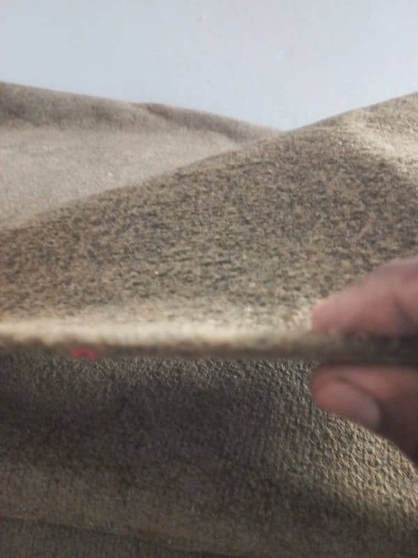 carpet Best condition 0