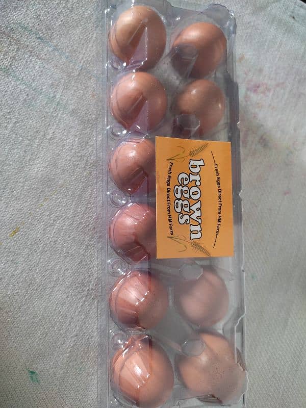 Lohambrown Eggs Available 0