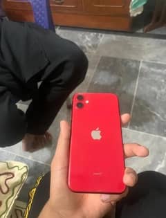 iPhone 11 LLA Model