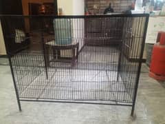 cage for hens