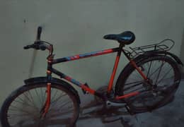 Phoenix Bicycle for sale