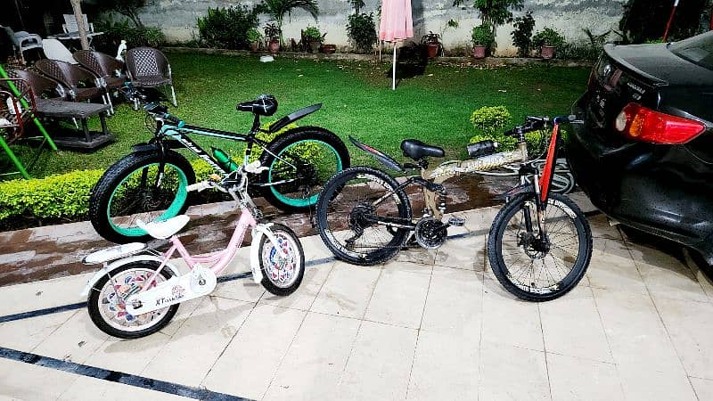 24Size folding Sports Cycle 2