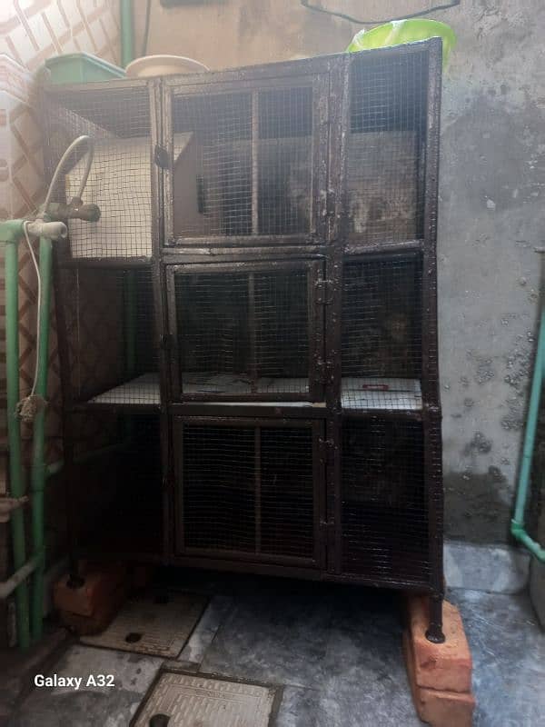 Cage for Hen Rabbit Parrots and all other 2