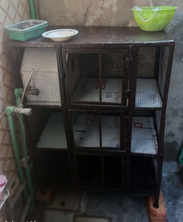 Cage for Hen Rabbit Parrots and all other 5