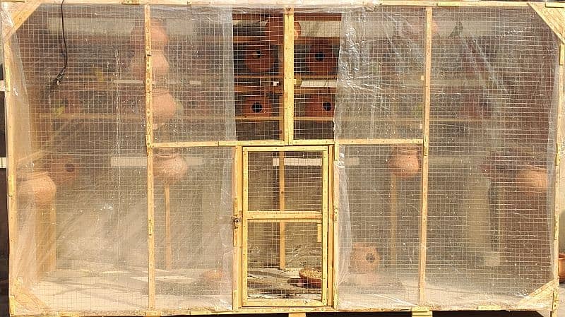 wood cage for sale size 8--5 ha 0