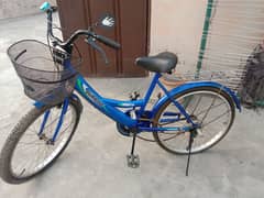 Blue Bicycle