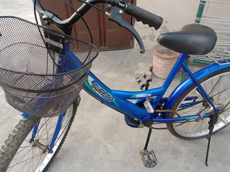 Blue Bicycle 1