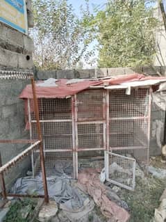 Cage for Sale pigeons, hen and birds