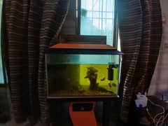 #Aquarium for sale with fishes and accessories