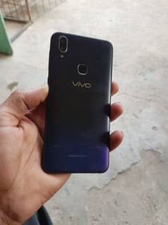 vivo