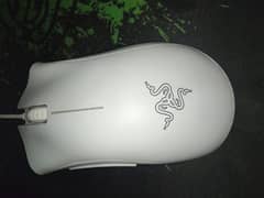 Razer Deathadder Essential