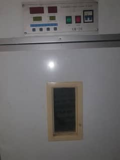 fully automatic Chinese incubator