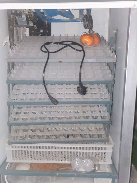 fully automatic Chinese incubator 3