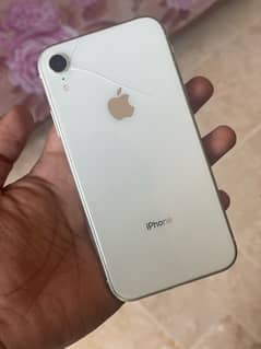 iphone xr 128gb dual pta approved