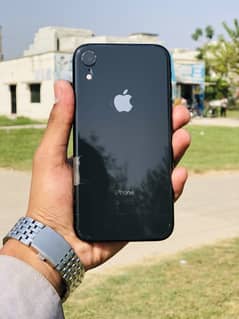 iPhone XR