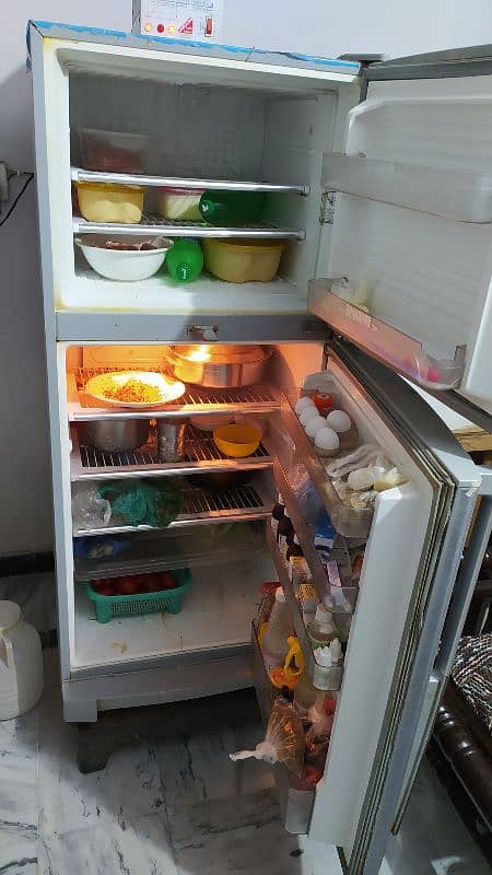 Downlance Fridge Best high cooling and house things 1