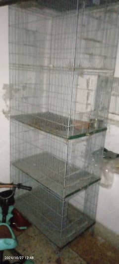 bird iron cage