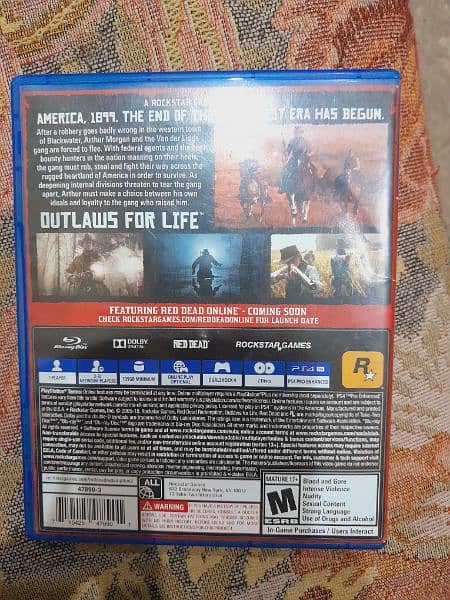 RDR2 FOR Sale ps4 Disc 10/10 Condition Along with Map 1