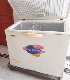 waves single door Deep freezer WCC-2110