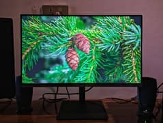 Samsung 24 inch IPS Borderless Monitor 75 Hertz With Freesync