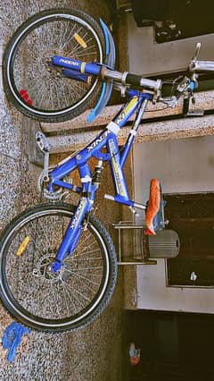 phoenix bicycle for sale