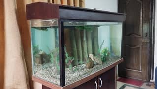 4 ft auqarium for urgent sale - 4 x 2 x 1.5