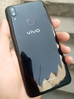 vivo