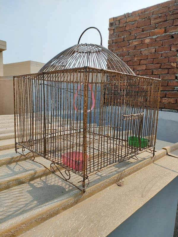 BIRD IRON CAGE 0