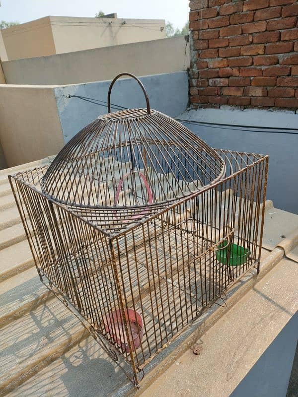 BIRD IRON CAGE 1